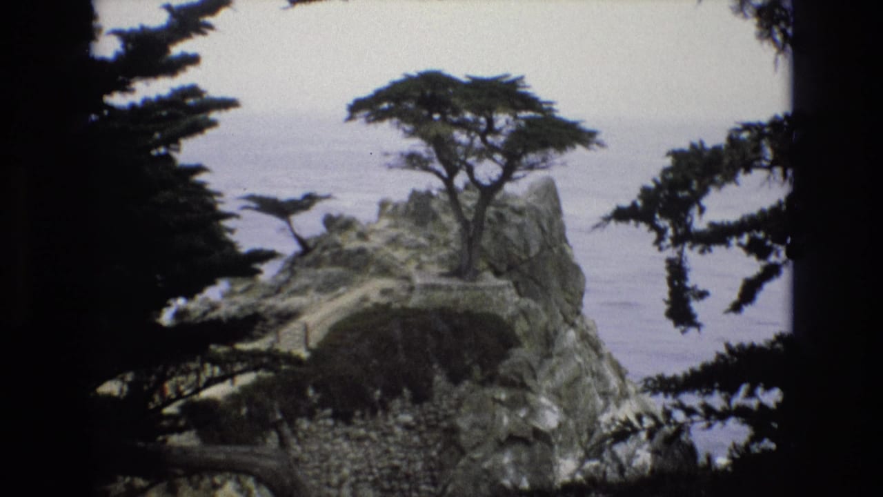 1973 8mm view of a wind-shaped cypress tree on a jagged Central Coast California rock formation above the Pacific Ocean, partly framed by nearby branches.
