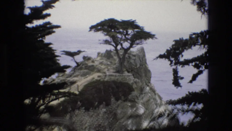The home-movie frame looks past branches toward the cypress and rocky shoreline, with part of a yellow car briefly visible near the lower left of the overlook.