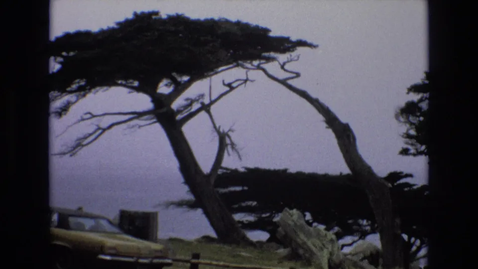 A leaning cypress fills the frame against the Pacific Ocean, with roadside overlook details and part of a yellow car visible below in the 1973 California coastal footage.