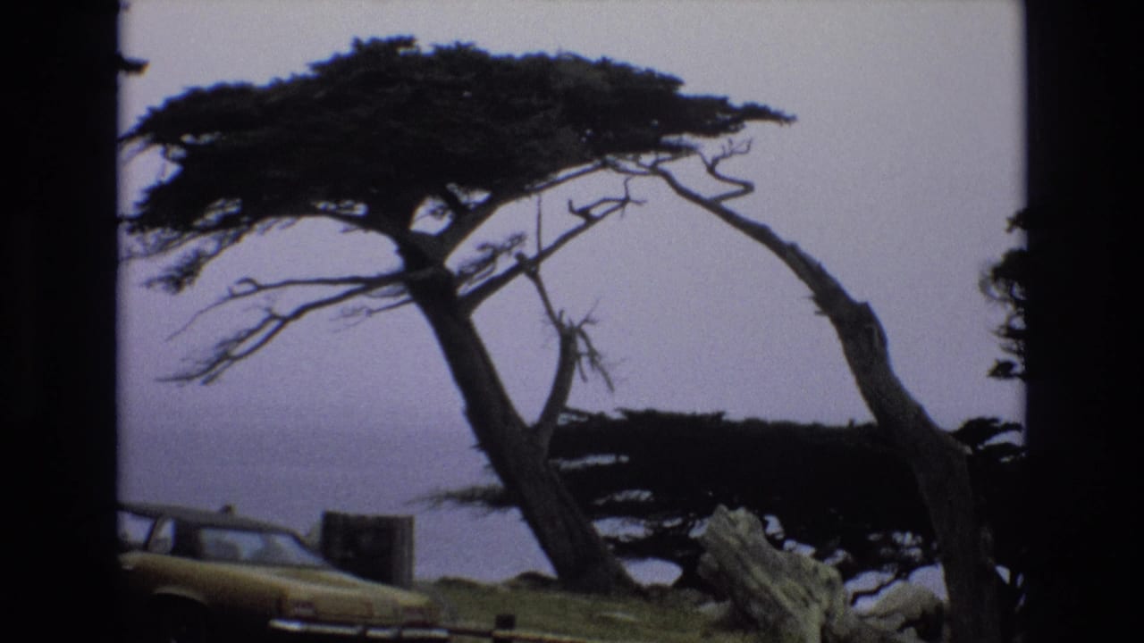 1973 8mm home-movie frame of windswept cypress-like trees at a California coastal overlook, with a yellow sedan partly visible near the lower left and hazy ocean beyond.