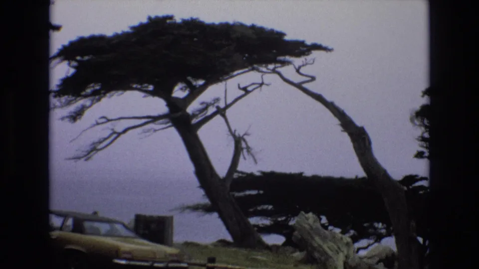 1973 8mm home-movie frame of windswept cypress-like trees at a California coastal overlook, with a yellow sedan partly visible near the lower left and hazy ocean beyond.