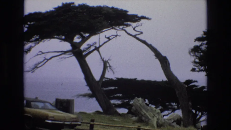 1973 8mm frame from the California coast showing leaning windswept trees, a yellow sedan partly cropped at the lower left, a small rail, and hazy ocean in the distance.