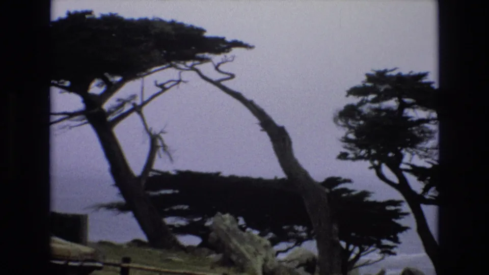 Final 1973 California coast frame with silhouetted wind-shaped trees, a cropped yellow sedan, grassy ground, low rail, and distant ocean under a muted sky.