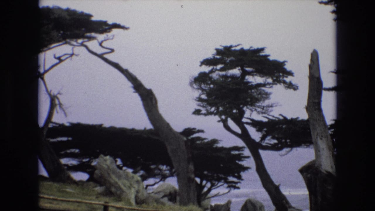 Home-movie frame from the 1973 California coastal clip showing gnarled cypress trees, a standing weathered trunk, rocks, and distant surf at Pescadero Point.