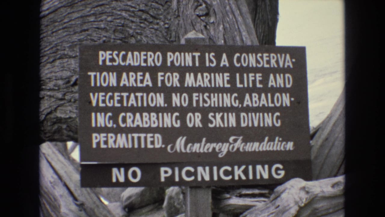 Weathered Pescadero Point conservation sign with No Picnicking panel below.