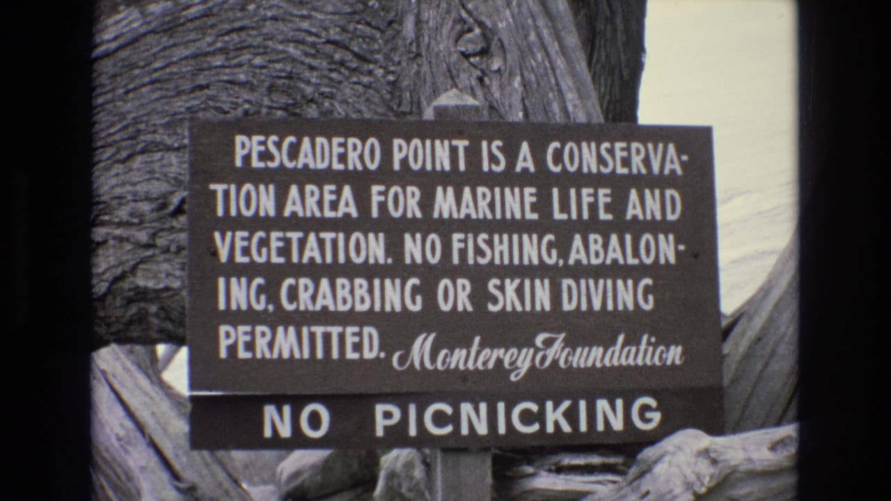 1973 home-movie view of the Pescadero Point sign stating marine life and vegetation protections, with no fishing, abaloning, crabbing, or skin diving permitted.