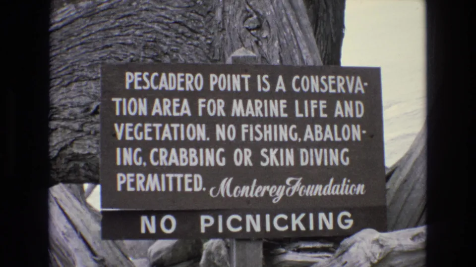 1973 home-movie view of the Pescadero Point sign stating marine life and vegetation protections, with no fishing, abaloning, crabbing, or skin diving permitted.