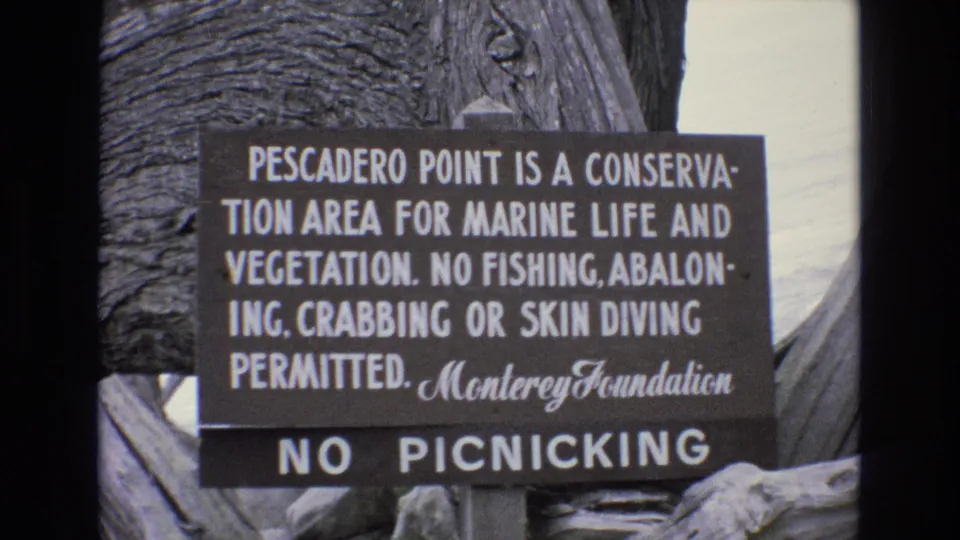 1973 Central Coast California 8mm frame of the Pescadero Point conservation-area sign, with marine life and vegetation rules and a No Picnicking notice visible.