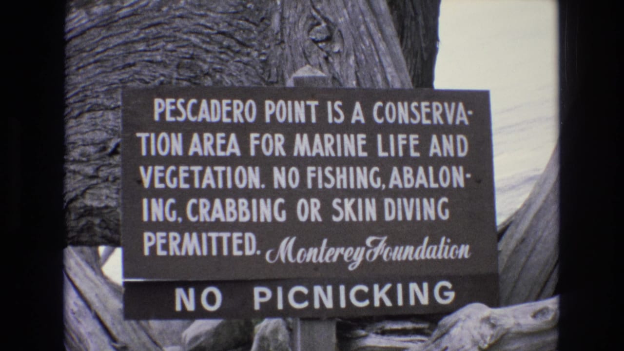 1973 8mm frame at Pescadero Point showing a marine-life and vegetation conservation sign with Monterey Foundation lettering and a no-picnicking notice.