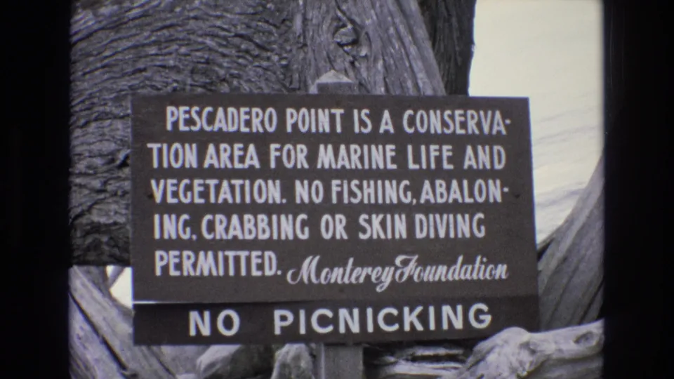 1973 8mm frame at Pescadero Point showing a marine-life and vegetation conservation sign with Monterey Foundation lettering and a no-picnicking notice.
