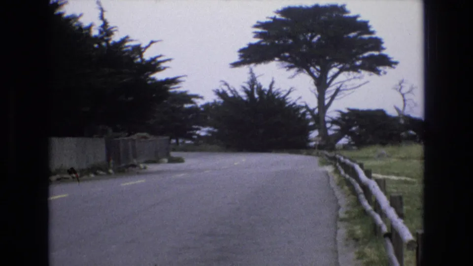 1973 Central Coast California road view with cypress trees, a rustic roadside fence, grass, and the ocean faintly beyond the curve.