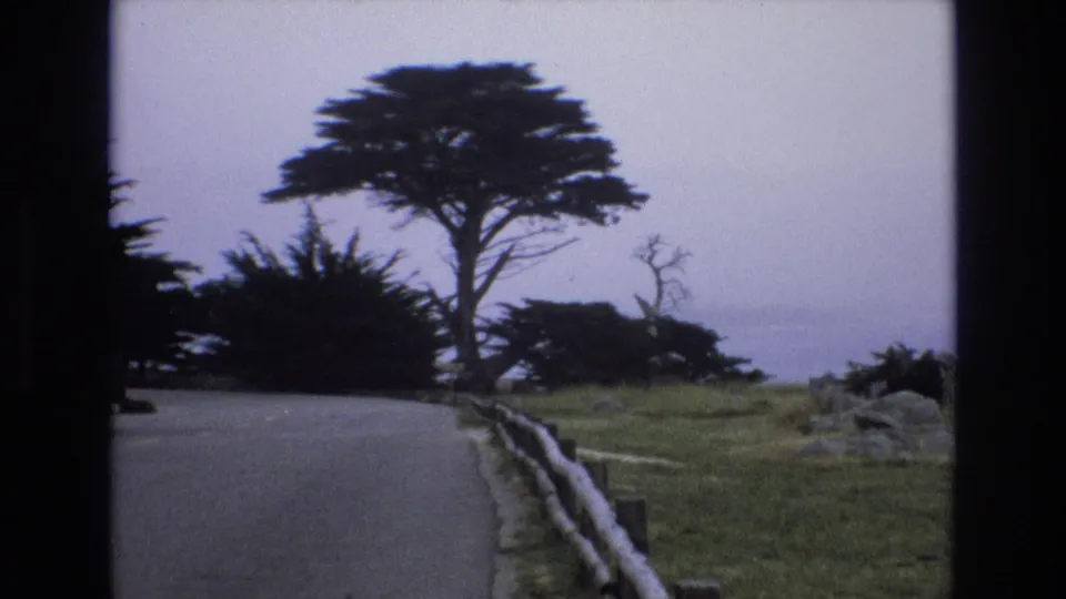 1973 California coast home-movie frame showing a curving road, rustic guardrail, large windswept tree, grass, rocks, and hazy shoreline beyond.