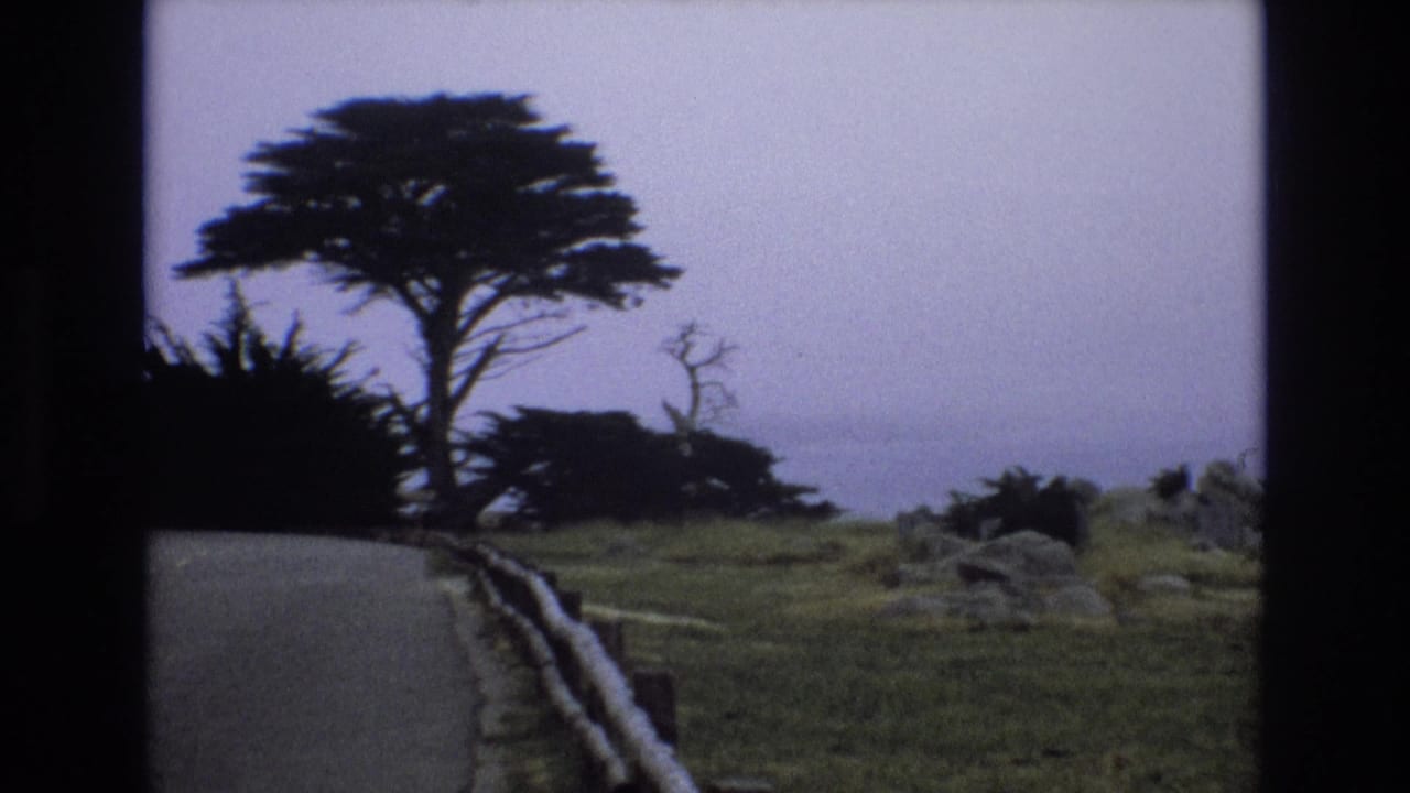 1973 Central Coast California footage appears to show a roadside view with a large coastal tree, wooden guardrail, rocky ground, and misty water or sky in the distance.