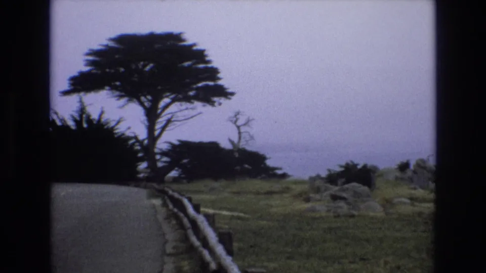 1973 Central Coast California footage appears to show a roadside view with a large coastal tree, wooden guardrail, rocky ground, and misty water or sky in the distance.