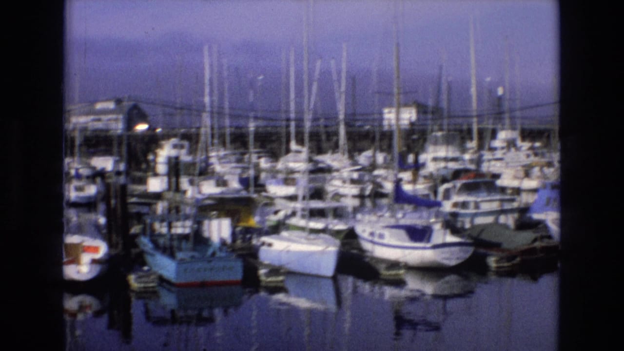 Moored sailboats and small motor yachts fill a marina under a purple-blue sky.