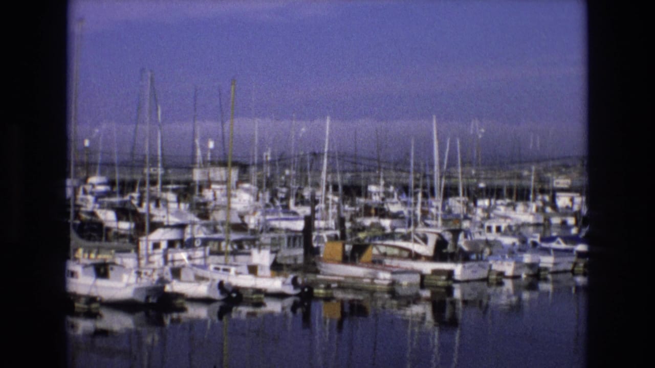 A marina crowded with boats and mast lines reflected in still water.