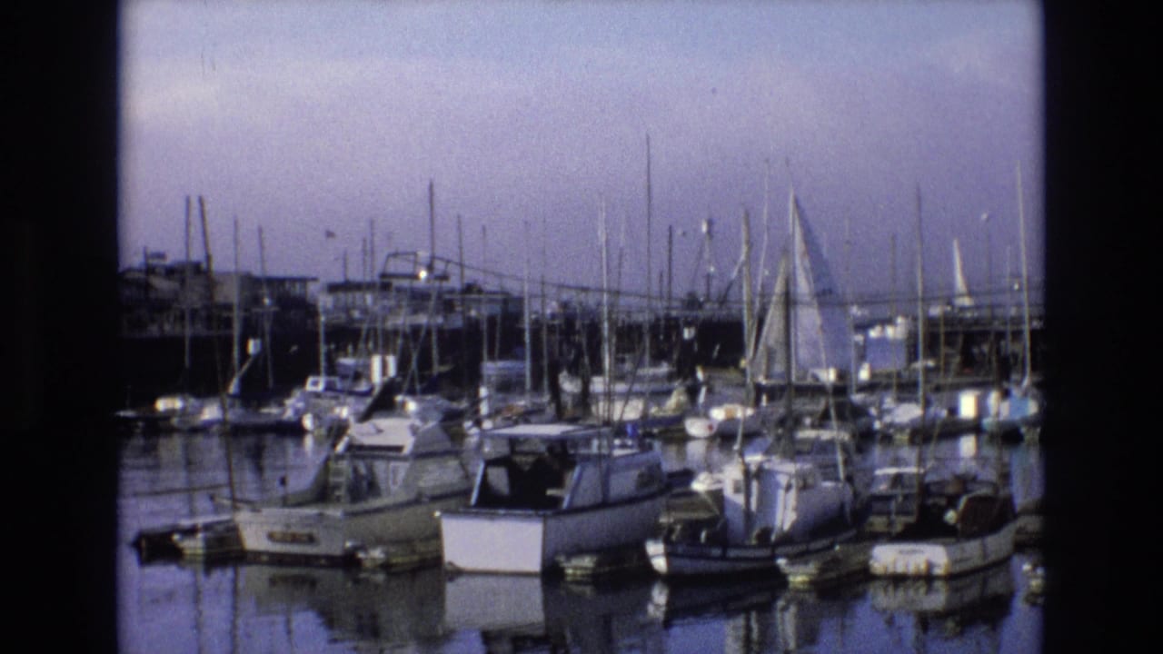 Marina view with clustered boats, masts, and calm water.