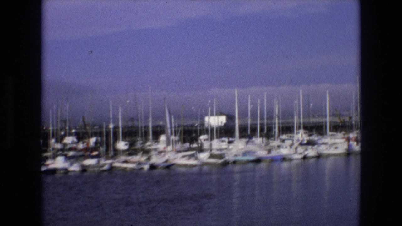 Rows of sailboats and masts line a quiet marina.