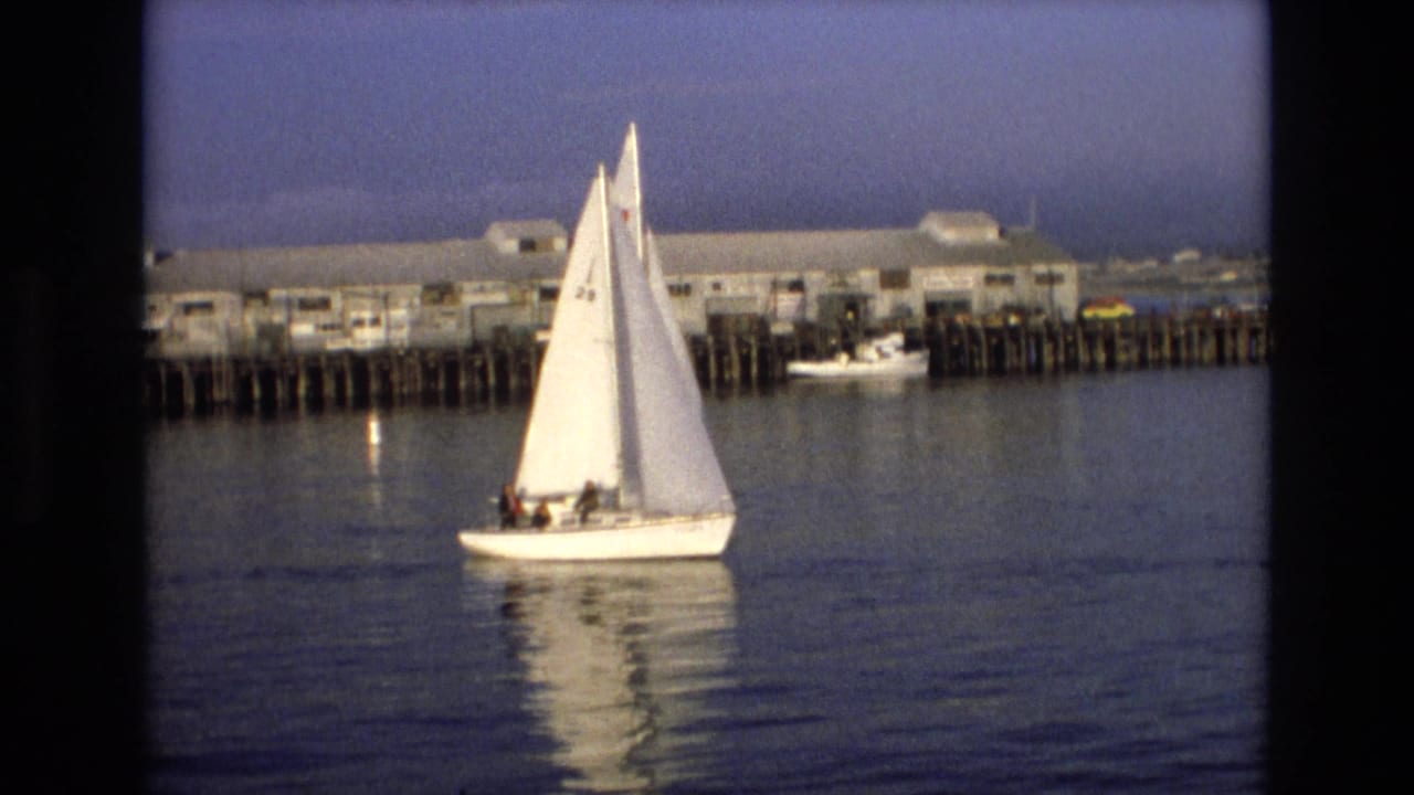 White sailboat appears farther right on calm harbor water with pier buildings behind.