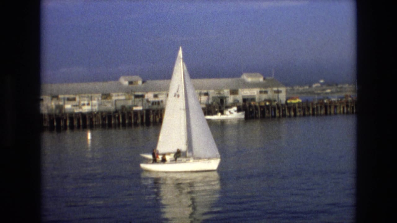 White sailboat on calm water near a wooden pier and low waterfront buildings.