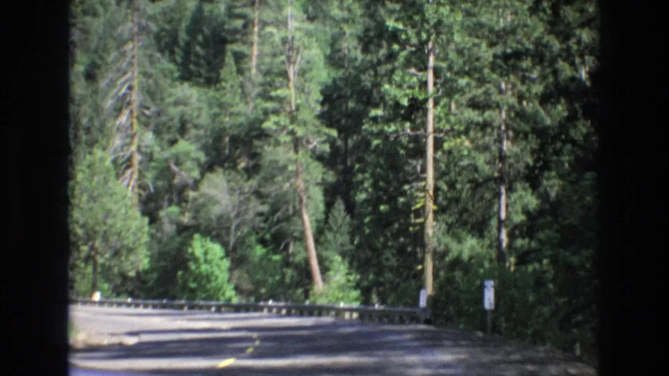 A shaded roadway bends through tall evergreen trees with a metal guardrail and yellow center markings, continuing the California road-trip sequence.