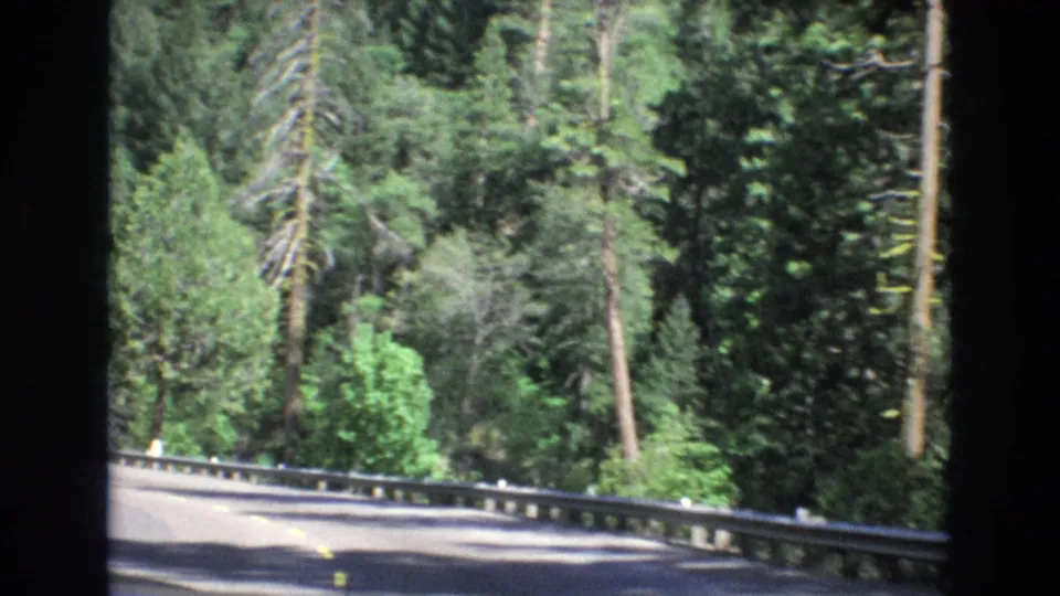 The final frame shows a winding forest road lined with tall trees, bright roadside foliage, and a metal guardrail within the scanned 8mm frame.