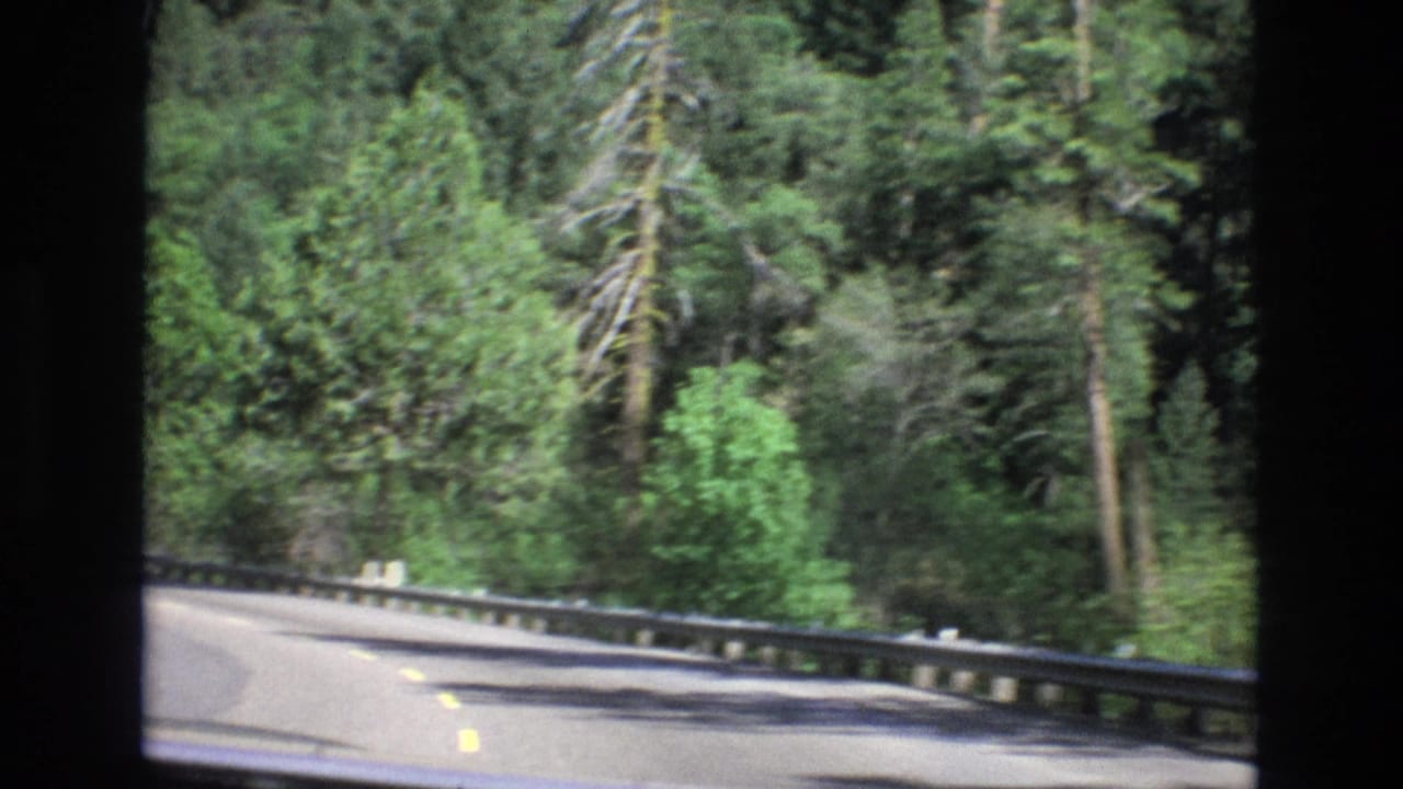 1973 8mm home-movie frame showing a two-lane road curving through dense green forest on California's Central Coast, viewed from inside a moving vehicle.