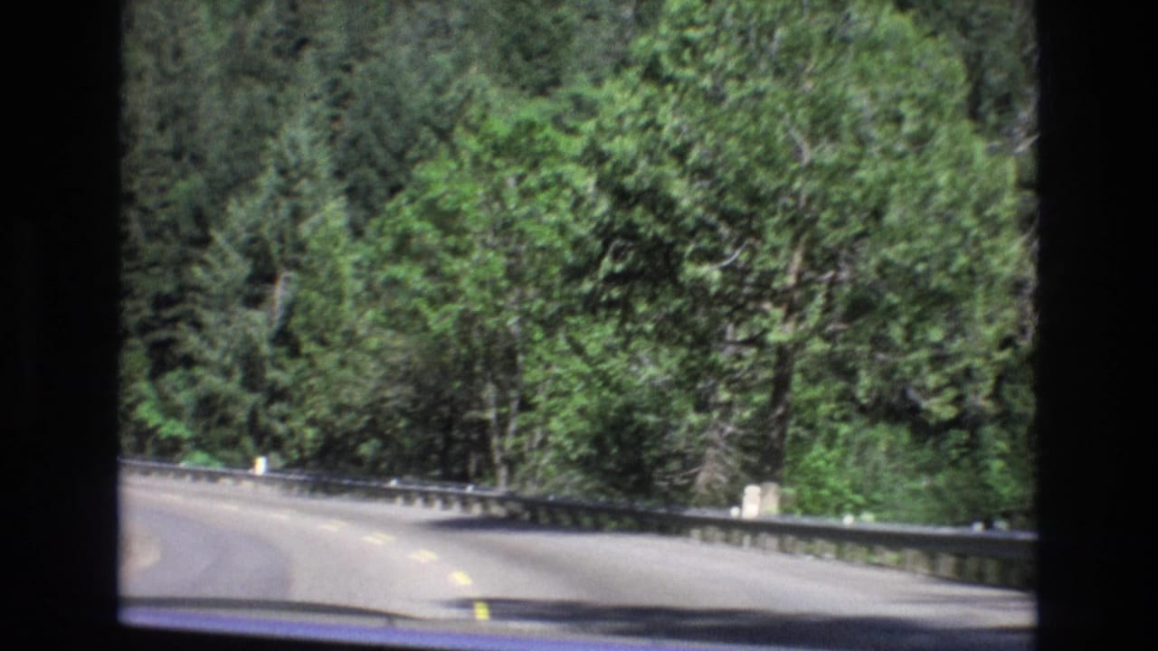 Wooded road curve with guardrail and dense trees.