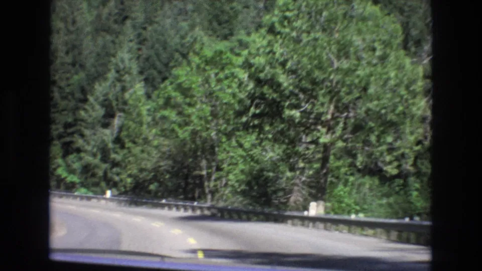A forested Central Coast California road curves ahead in this 1973 8mm travel frame, with guardrail, roadside posts, and tall trees lining the pavement.