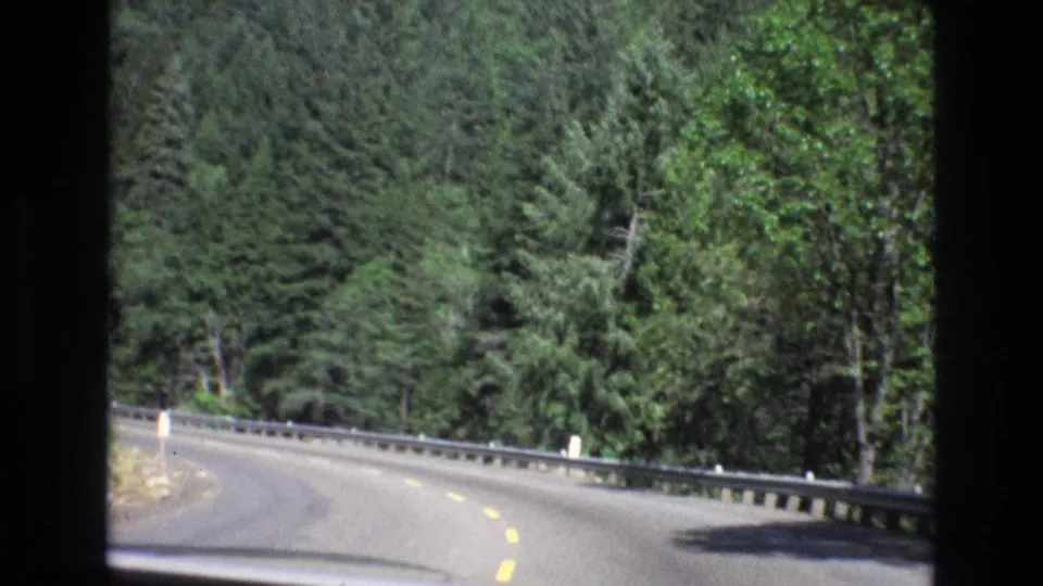Passenger-view 8mm frame of a winding road bordered by a metal guardrail and thick trees during a 1973 Central Coast California drive.