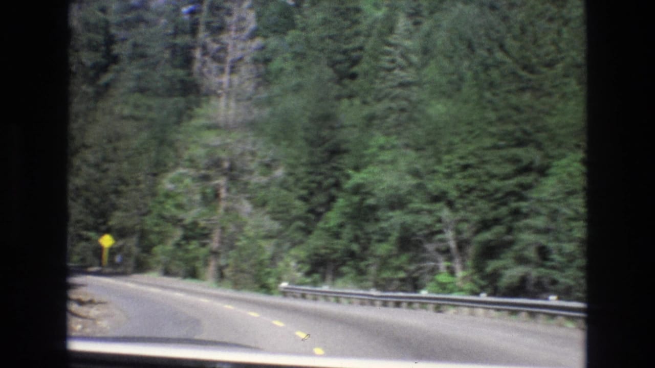 Two-lane forest road curving left with a guardrail and yellow warning sign.