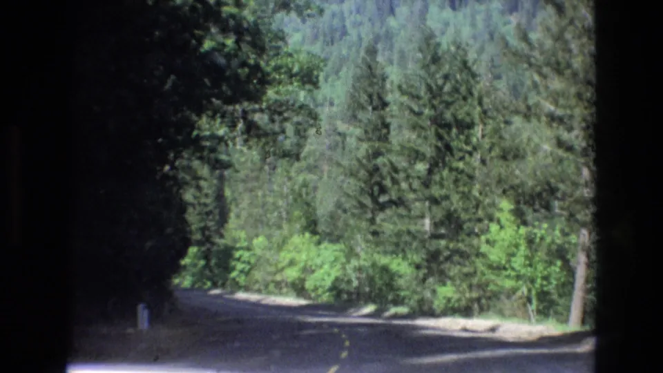 1973 8mm frame of a quiet Central Coast California forest drive, showing a curving road bordered by evergreen trees, brush, and intermittent sunlight.