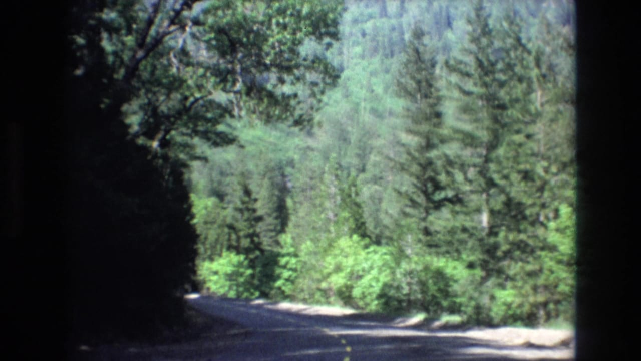 A shaded two-lane forest road appears through dark in-car framing in 1973 8mm home-movie footage from a California travel sequence.