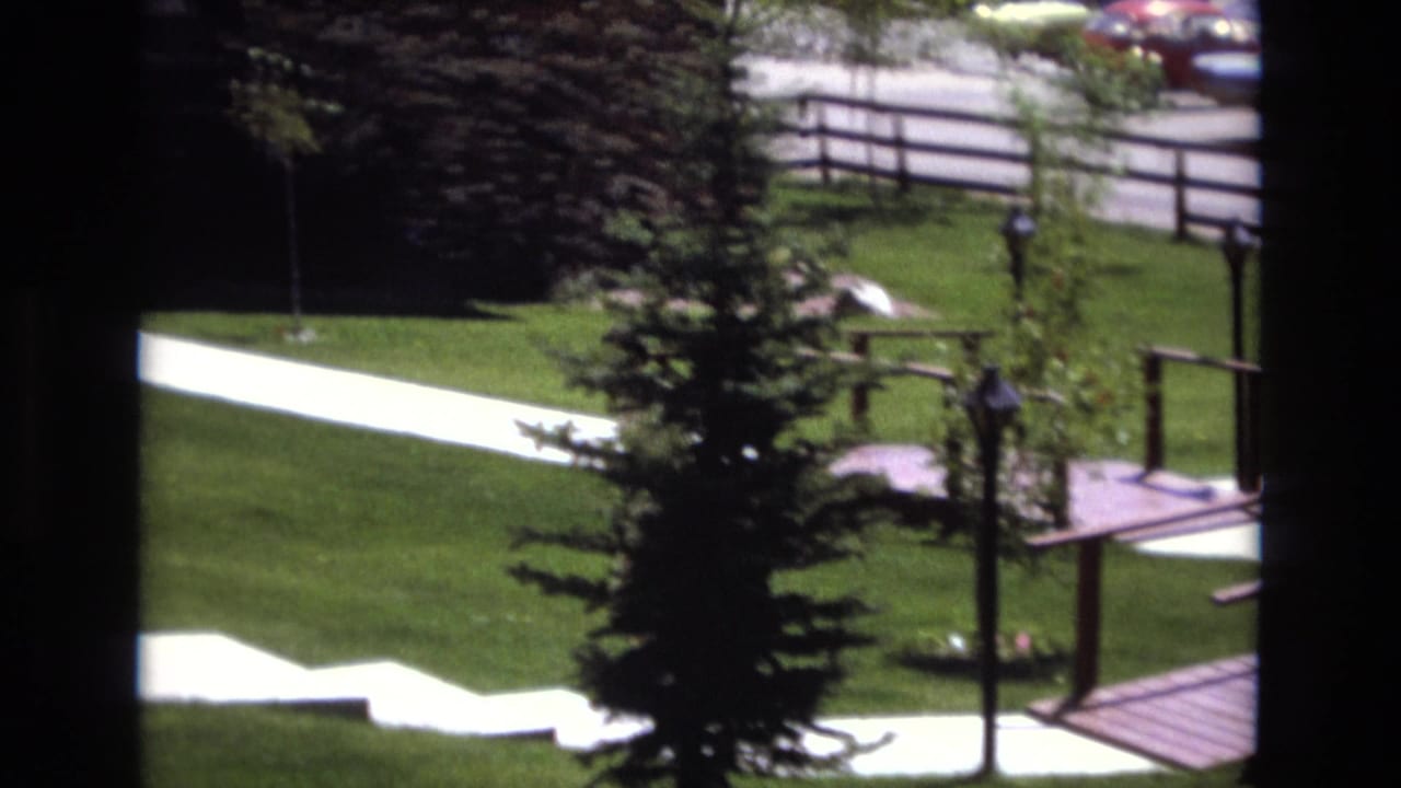 Park walkway and bridge area with trees and cars in the background.