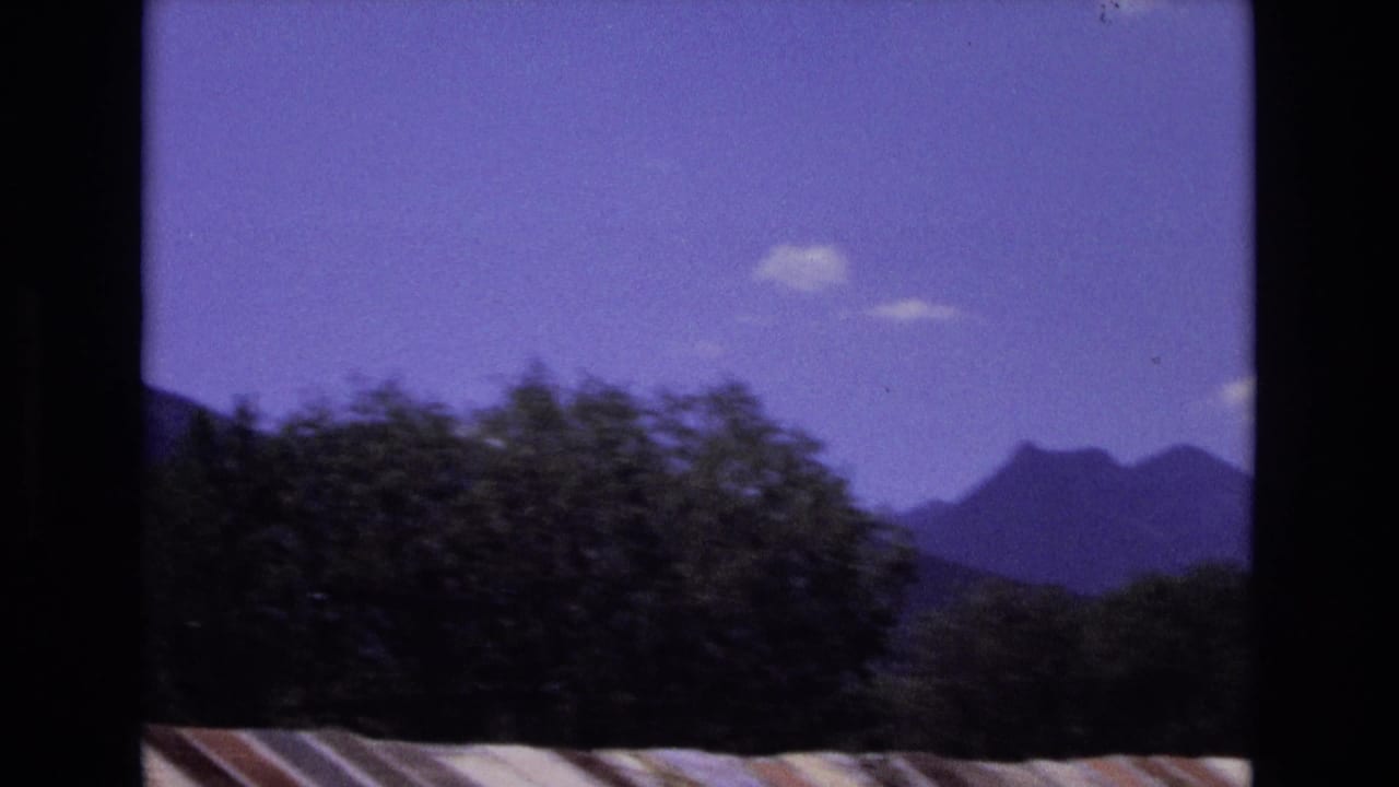 Distant mountain ridges behind dark trees under a blue-purple sky.