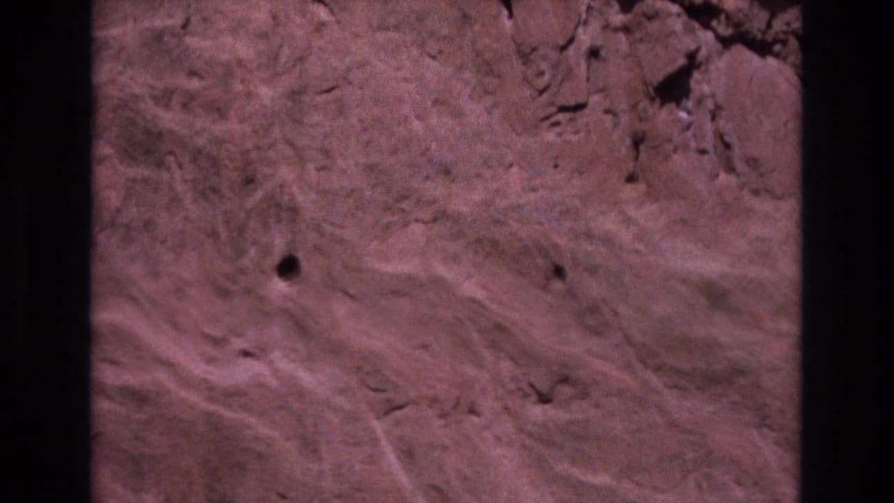 Reddish rock surface with pale streaks and small dark holes.