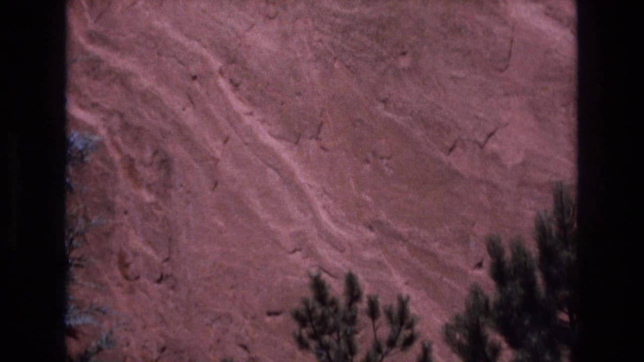 1973 Colorado 8mm frame showing a close view of reddish layered rock with pine branches along the bottom edge and visible film gate borders.