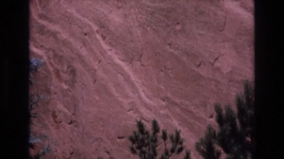 1973 Colorado 8mm frame showing a close view of reddish layered rock with pine branches along the bottom edge and visible film gate borders.