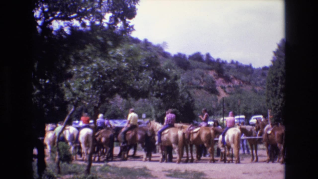 Group of riders on horses waiting beside trees and parked cars in a wooded outdoor area.