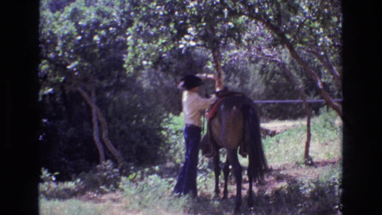 Man in a black hat stands beside a brown horse in a leafy clearing.