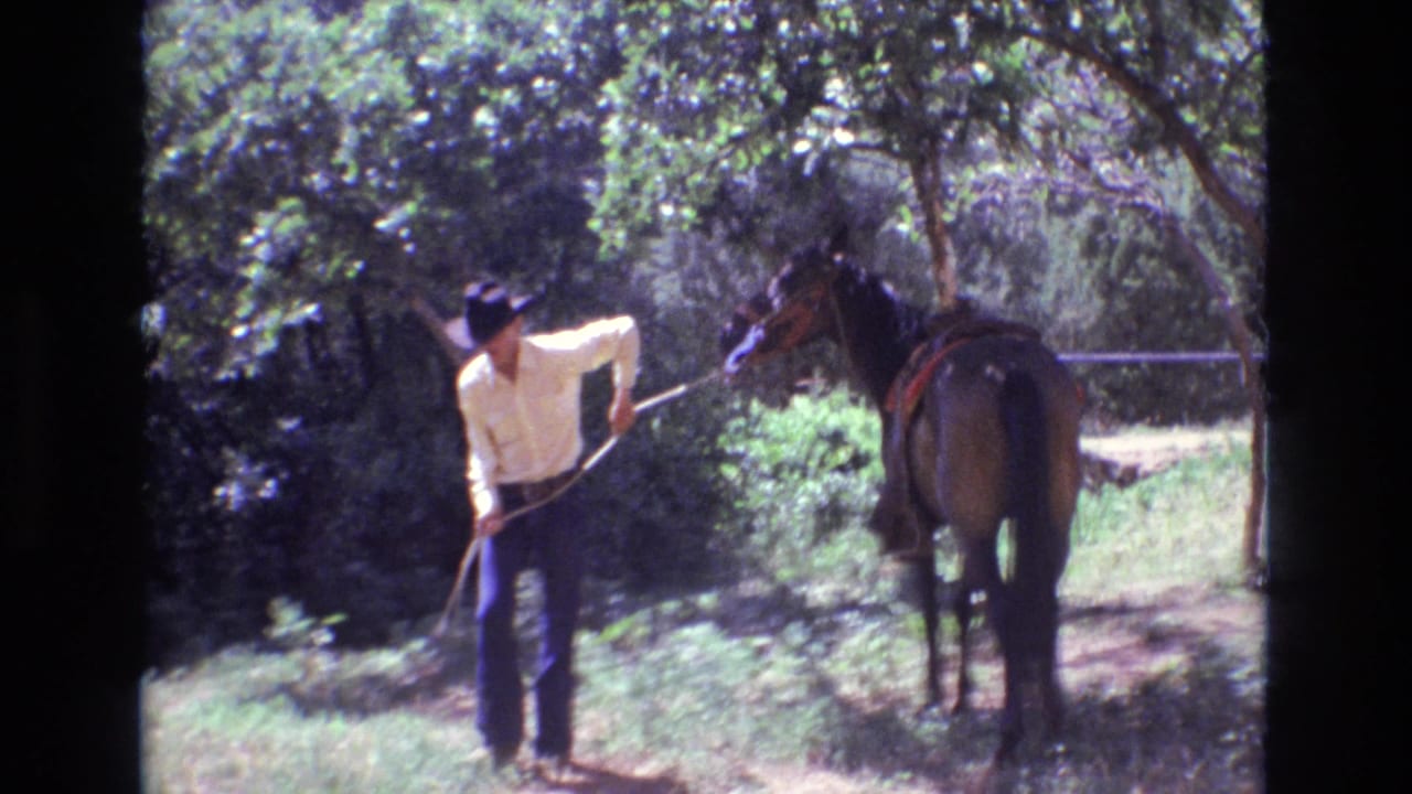 Man in a cowboy hat leading a saddled horse in a wooded grassy area.