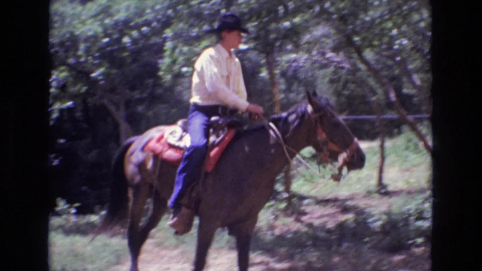 The adult rider sits on the saddled brown horse, wearing a black hat and blue jeans as the horse stands among trees in Colorado.