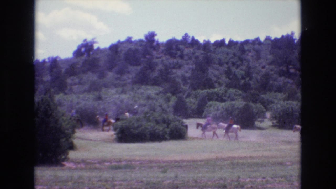 Distant riders on horseback cross a grassy field beside shrubs and trees.