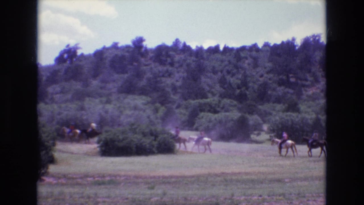 Several riders on horses continue across a sunlit field with trees behind them.