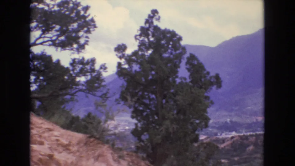 1973 Colorado 8mm frame with a prominent evergreen in the foreground, dry hillside below, and blue mountain ridges over a distant valley.