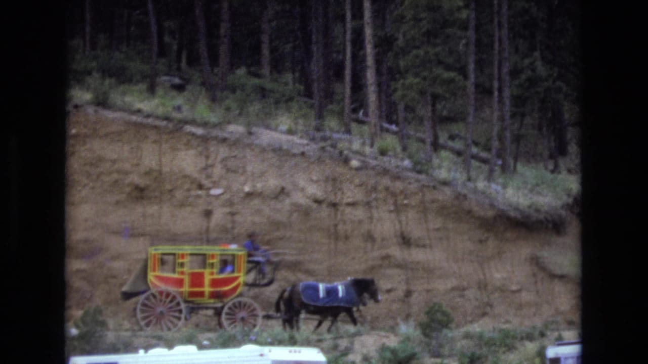 A red and yellow horse-drawn carriage travels along a dirt road beneath pine trees in Colorado home-movie footage from 1973.