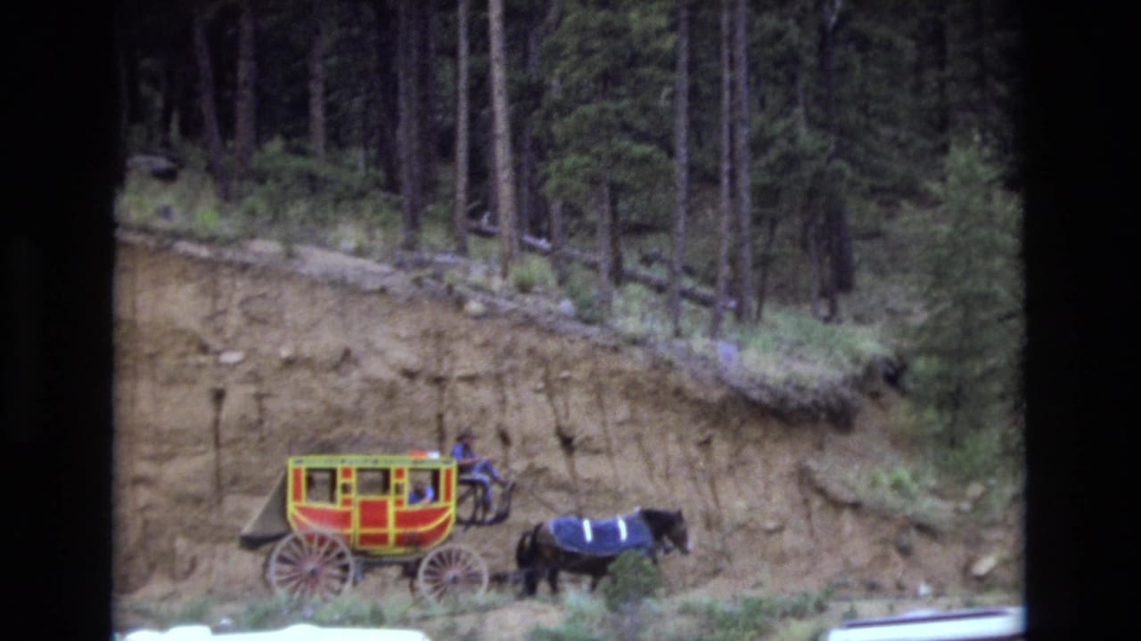 Horse pulling a colorful carriage along a dirt path beside a steep bank.