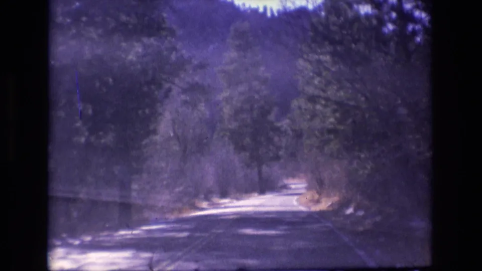 1973 Colorado 8mm frame showing a shaded stretch of forest road, with trees and dry brush framing the view from a moving vehicle.