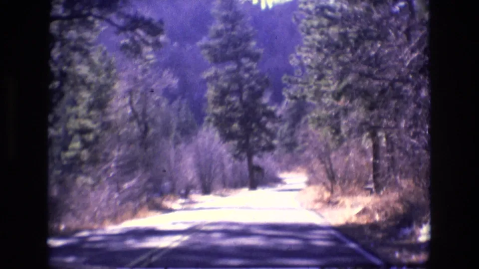 1973 Colorado home-movie frame with a sunlit paved road running through evergreens and roadside brush in a mountainous forest setting.
