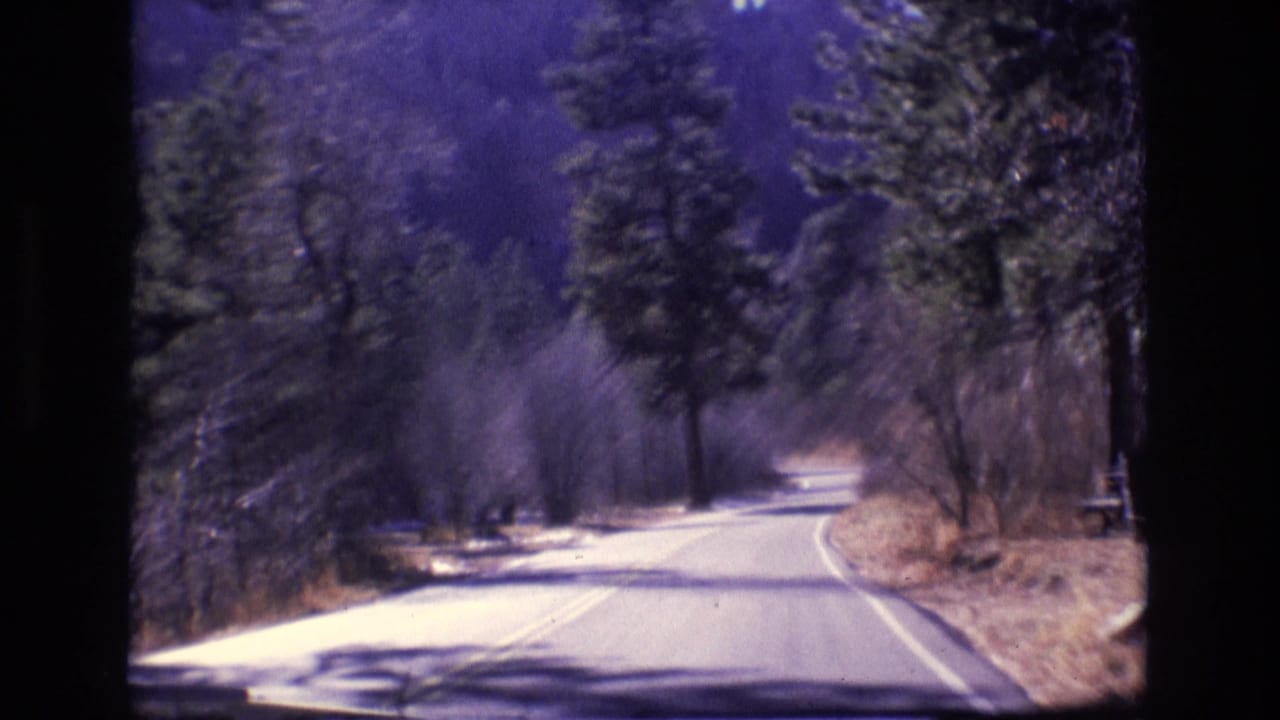 1973 Colorado home-movie frame showing a forward view down a winding two-lane road through dense forest, with tall evergreens and brush along the shoulder.